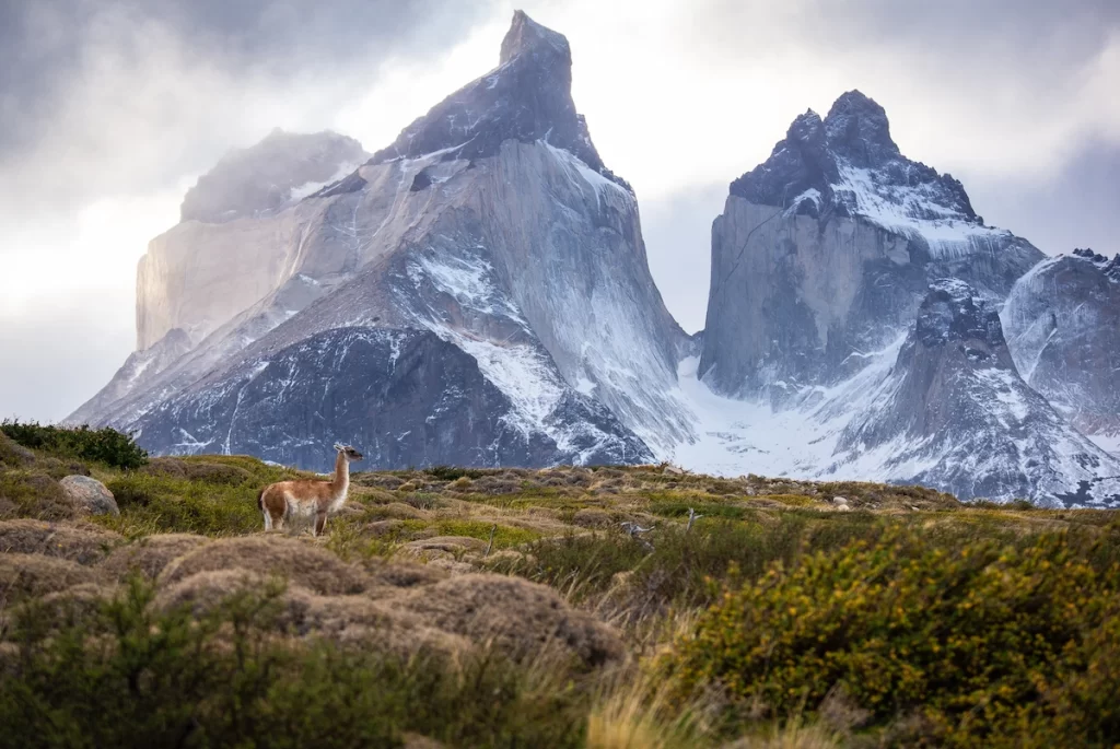 Cordillera Paine