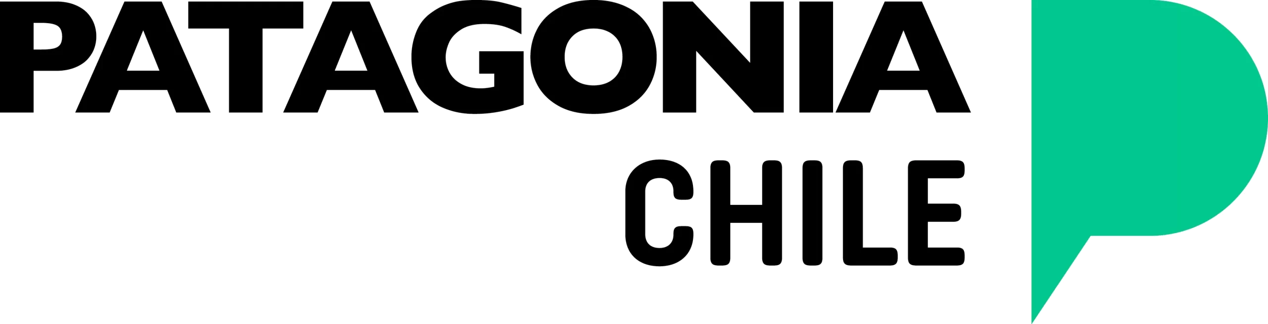 patagonia chile