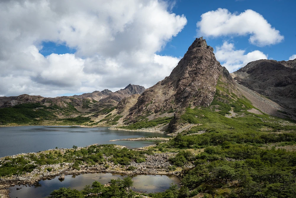 Dientes Navarino