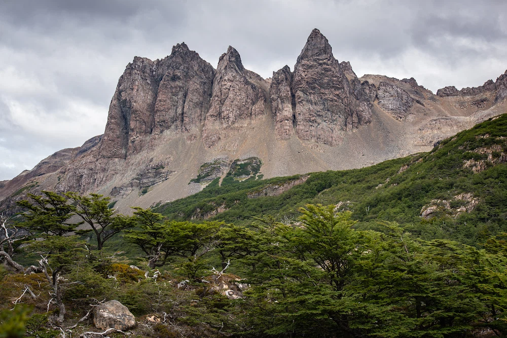 Dientes Navarino