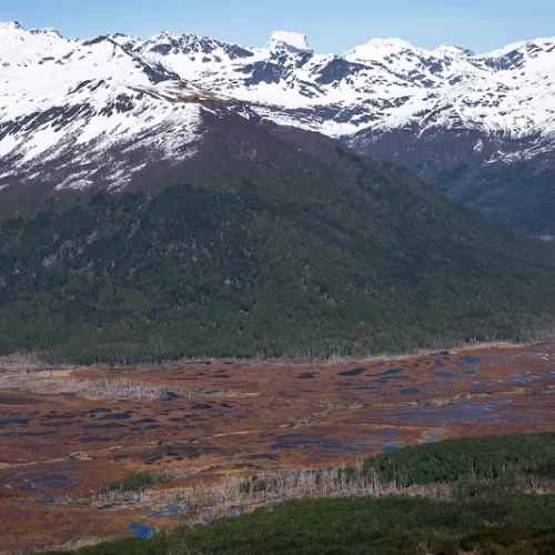 Tarjeta_TierraDelFuego_Chile